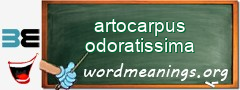 WordMeaning blackboard for artocarpus odoratissima